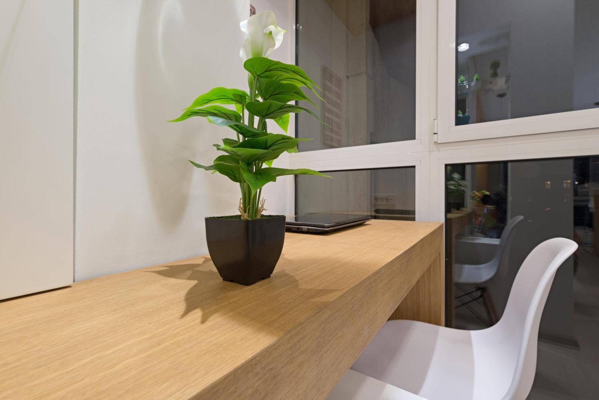Vivio Luxury Apartment Bělehrad Exteriér fotografie